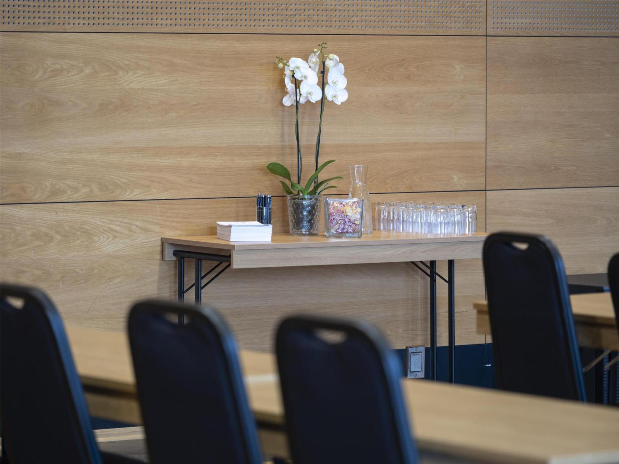 Radisson Blu Resort, Resort Trysil